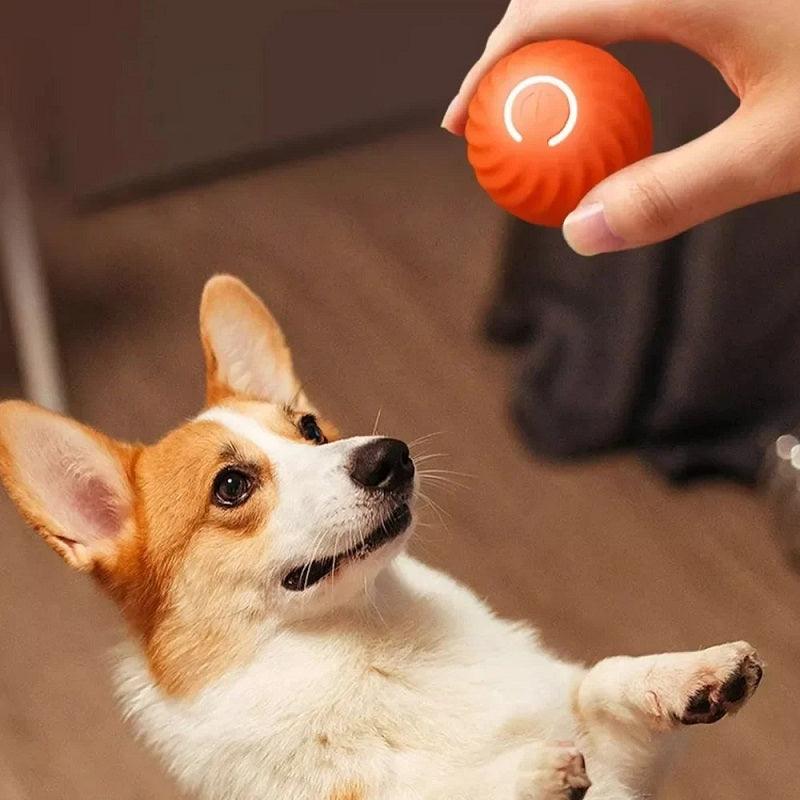 Bola interativa para cães - Preços ao Alcance