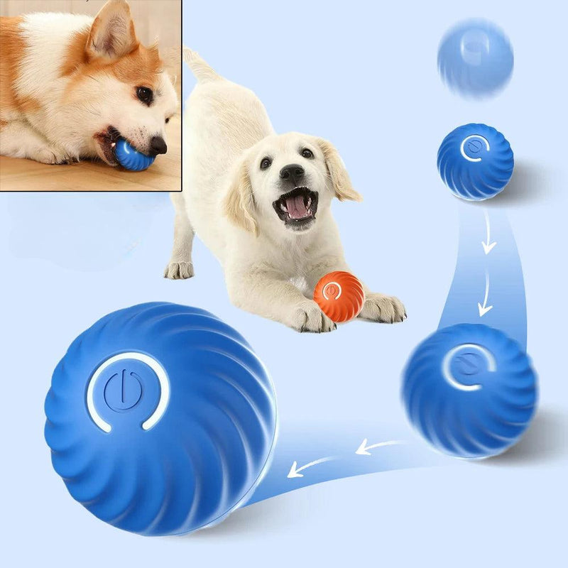 Bola interativa para cães - Preços ao Alcance