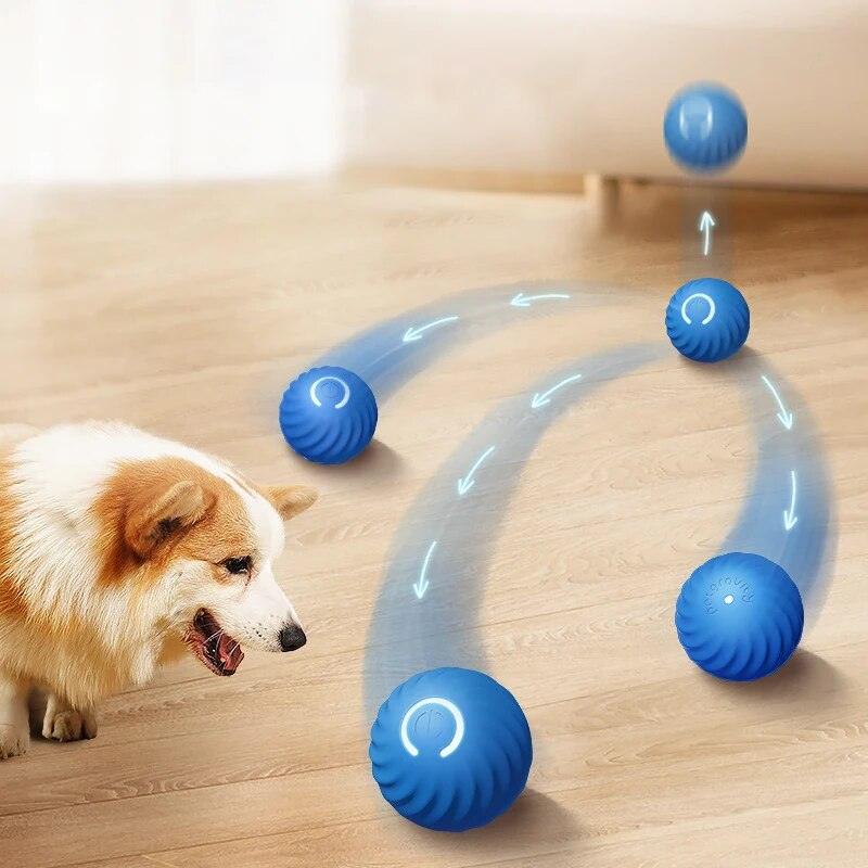 Bola interativa para cães - Preços ao Alcance