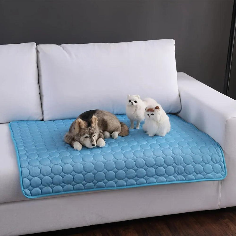 Tapete Gelado Pet Para Cães e Gatos - Preços ao Alcance