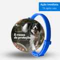 Coleira Anti Pulgas e Carrapatos - PetSafe - Preços ao Alcance