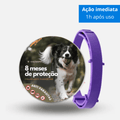 Coleira Anti Pulgas e Carrapatos - PetSafe - Preços ao Alcance