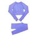 Conjunto Feminino Fitness Yoga Manga Longa - 2 peças - Preços ao Alcance