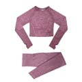 Conjunto Feminino Fitness Yoga Manga Longa - 2 peças - Preços ao Alcance