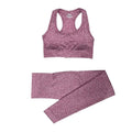 Conjunto Feminino Fitness Yoga - 2 peças - Preços ao Alcance