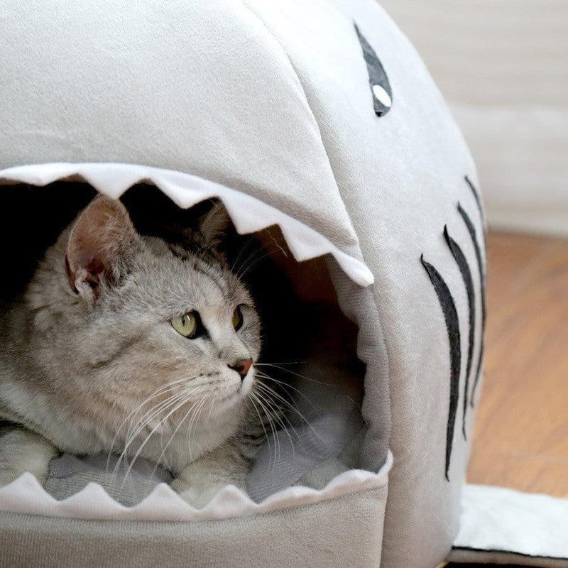 Toca para Gatos e Cachorros - Tubarão - Preços ao Alcance