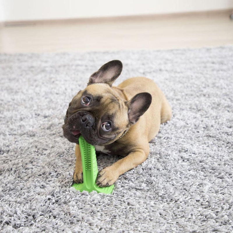 Escova para Cachorros PetBrush - Frete Gratis - Preços ao Alcance